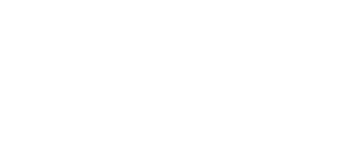 Debitlix.com